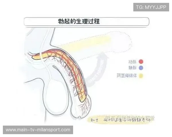 基基接班丁丁？，基基是啥