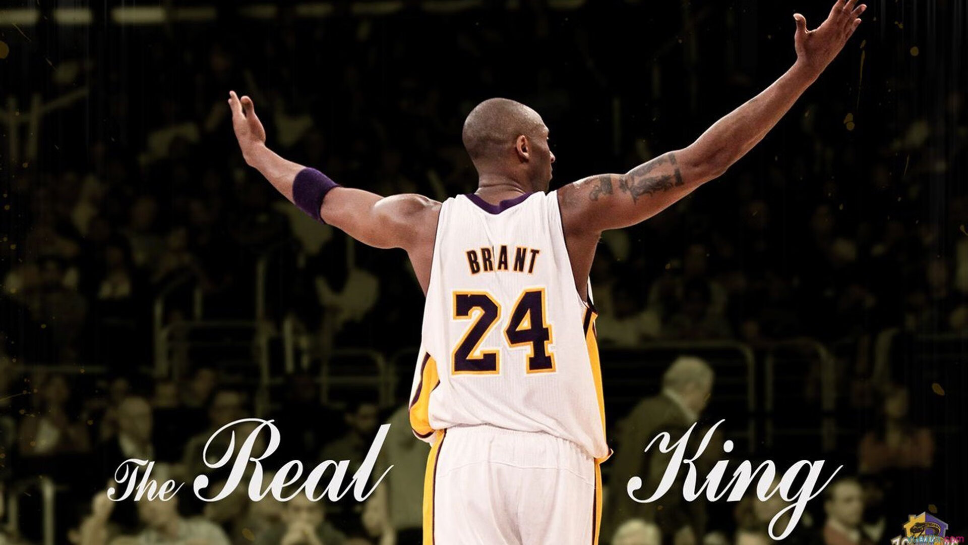 独行侠队新援带来新气象,季后赛前景辽阔,独行侠队首发阵容